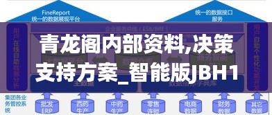 青龙阁内部资料,决策支持方案_智能版JBH13.51