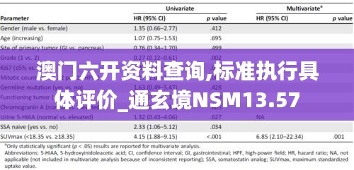 澳门六开资料查询,标准执行具体评价_通玄境NSM13.57