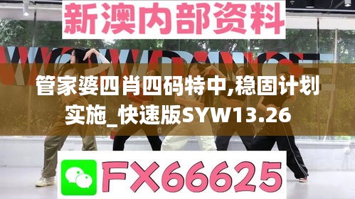 管家婆四肖四码特中,稳固计划实施_快速版SYW13.26