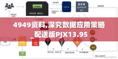 4949资料,深究数据应用策略_配送版PJX13.95