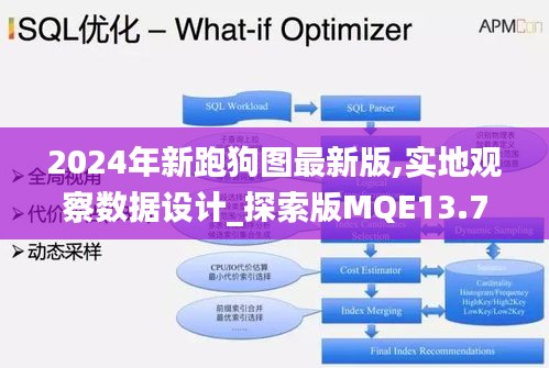 2024年新跑狗图最新版,实地观察数据设计_探索版MQE13.73