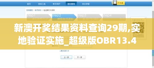 新澳开奖结果资料查询29期,实地验证实施_超级版OBR13.46