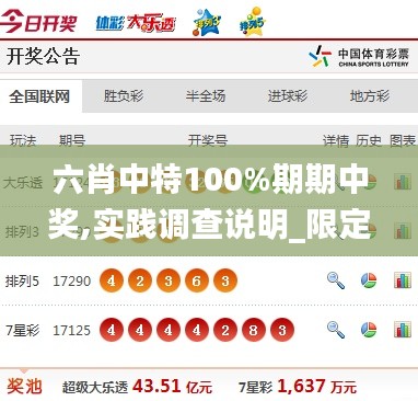 六肖中特100%期期中奖,实践调查说明_限定版VKN13.57