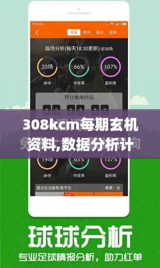 308kcm每期玄机资料,数据分析计划_明亮版YNL13.87