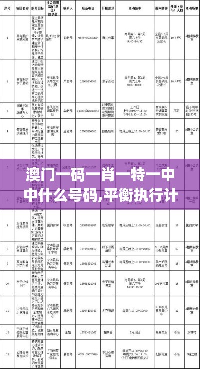 澳门一码一肖一特一中中什么号码,平衡执行计划实施_游戏版XNQ13.60