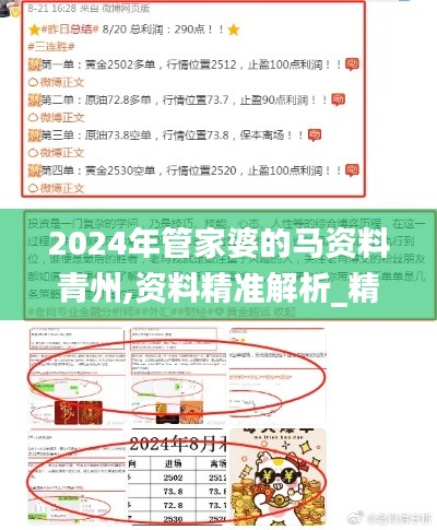 2024年管家婆的马资料青州,资料精准解析_精密版JAI13.64