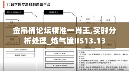 金吊桶论坛精准一肖王,实时分析处理_炼气境IIS13.13