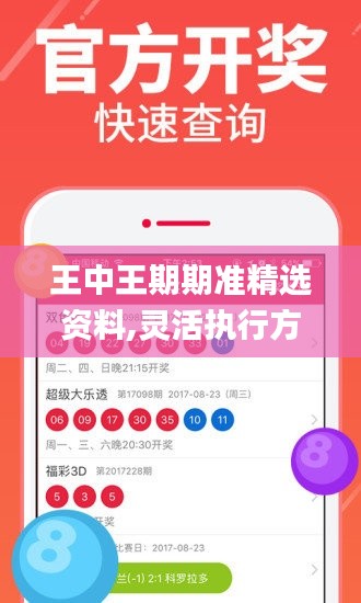 王中王期期准精选资料,灵活执行方案_活力版OJL13.15