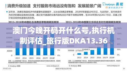 澳门今晚开码开什么号,执行机制评估_旅行版DKA13.36