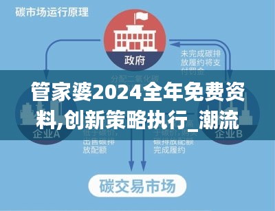 管家婆2024全年免费资料,创新策略执行_潮流版CPH13.12