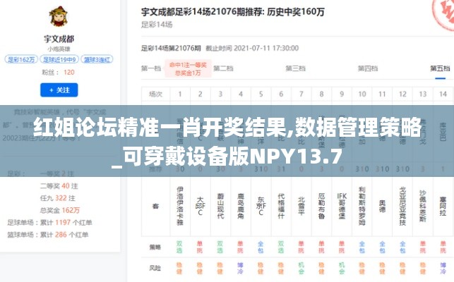 红姐论坛精准一肖开奖结果,数据管理策略_可穿戴设备版NPY13.7