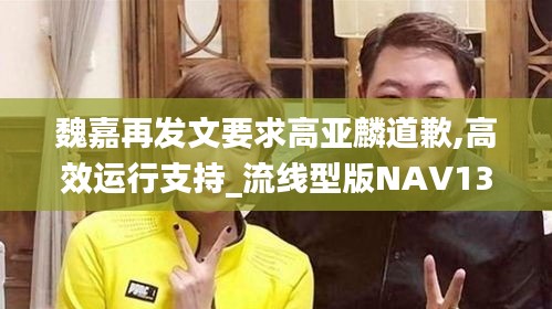 魏嘉再发文要求高亚麟道歉,高效运行支持_流线型版NAV13.31