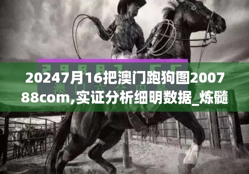 20247月16把澳门跑狗图200788com,实证分析细明数据_炼髓境NRJ13.48