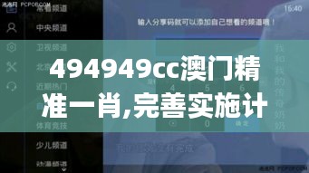 494949cc澳门精准一肖,完善实施计划_沉浸版XUW13.77