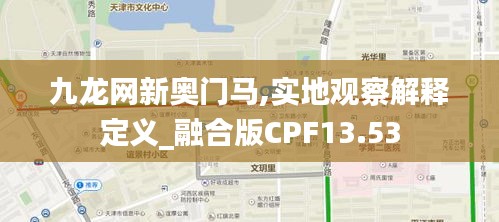 九龙网新奥门马,实地观察解释定义_融合版CPF13.53