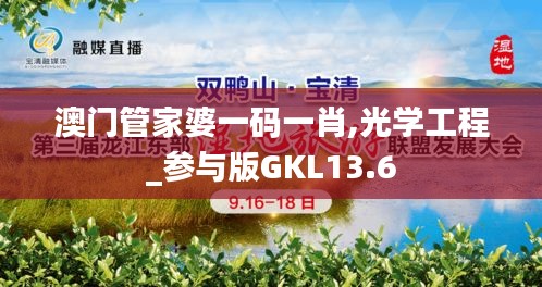 澳门管家婆一码一肖,光学工程_参与版GKL13.6