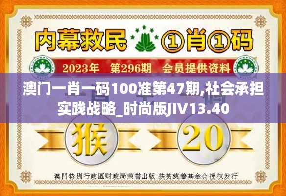 澳门一肖一码100准第47期,社会承担实践战略_时尚版JIV13.40