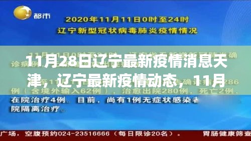 辽宁与天津抗疫进展更新，11月28日最新疫情消息与动态