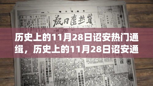 历史上的11月28日诏安通缉事件深度解读，事件背后的大揭秘