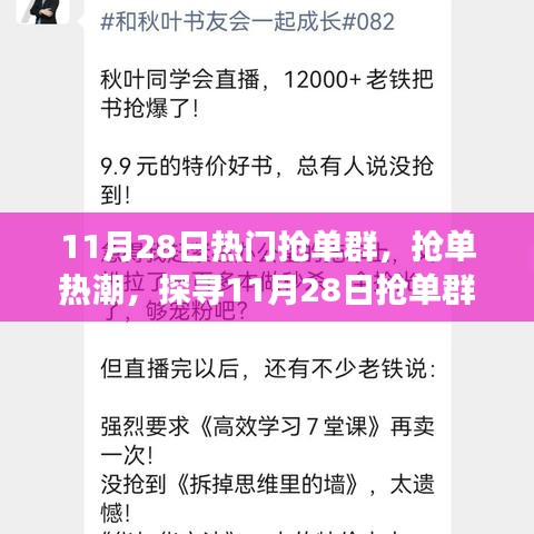 探寻抢单热潮背后的故事，揭秘11月28日抢单群影响力与故事