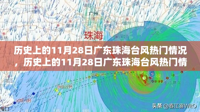 广东珠海历史上的台风热门情况深度解析，聚焦11月28日台风事件回顾与影响分析