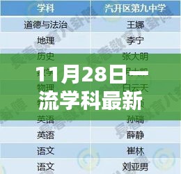 11月28日一流学科最新揭秘，小巷深处的独特风味小店，隐藏瑰宝的揭秘之旅