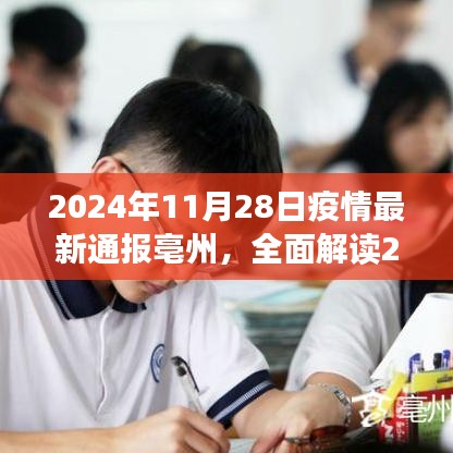 2024年11月28日亳州疫情最新通报全面解读，特性、体验、竞品对比及用户分析