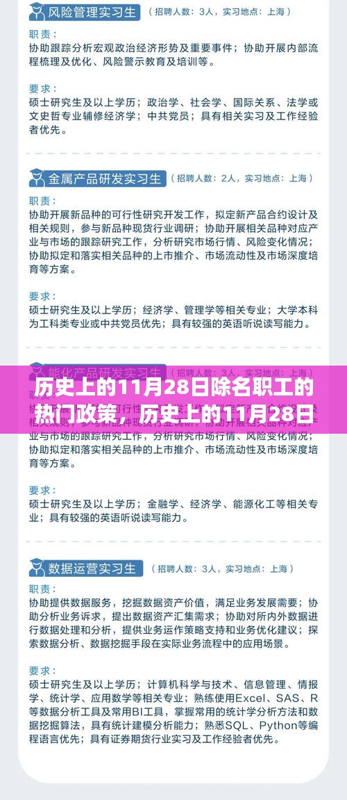 历史上的11月28日除名职工政策下的智能生活革新之旅，智能助手体验探索