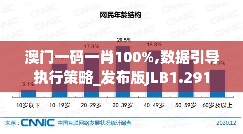 澳门一码一肖100%,数据引导执行策略_发布版JLB1.291