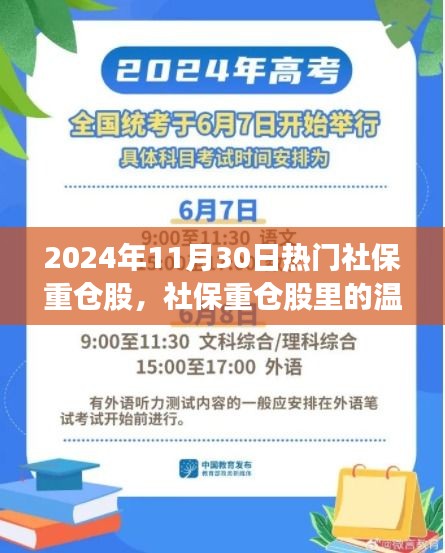 2024年11月30日社保重仓股聚焦，股市中的温情故事与奇缘