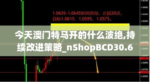 今天澳门特马开的什么波绝,持续改进策略_nShopBCD30.691