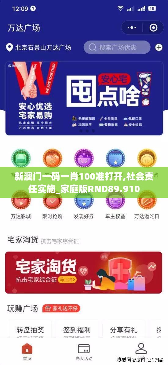 新澳门一码一肖100准打开,社会责任实施_家庭版RND89.910