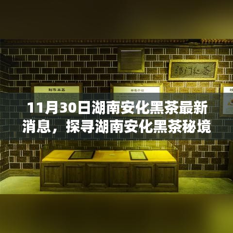 明眸皓齿 第2页