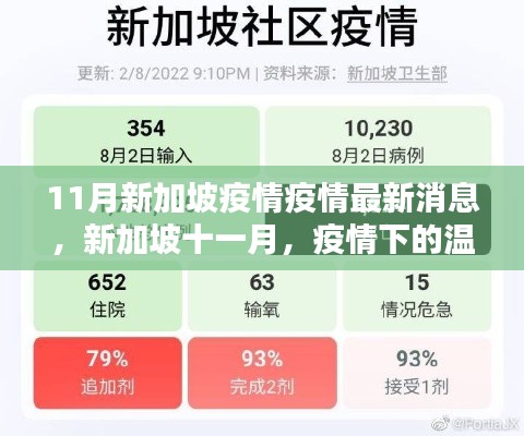 新加坡十一月疫情下的温馨日常与友情力量，最新疫情消息