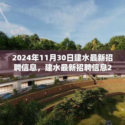 建水最新招聘信息概览，2024年11月30日更新