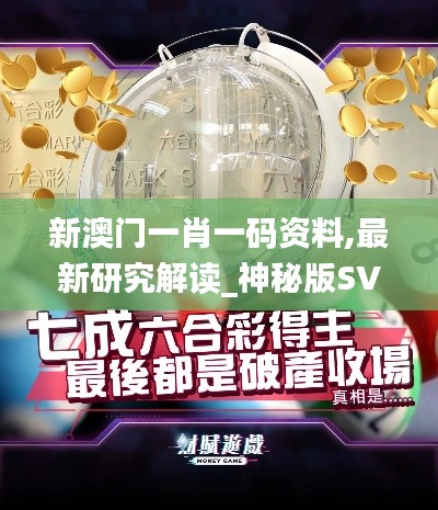 新澳门一肖一码资料,最新研究解读_神秘版SVZ20.146