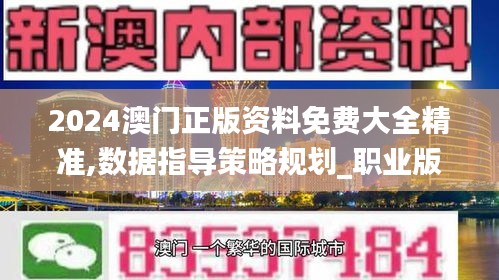 2024澳门正版资料免费大全精准,数据指导策略规划_职业版RQC48.767