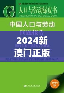 2024新澳门正版全年免费资料,实地验证研究方案_高效版KDU99.891