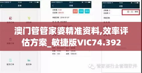 澳门管管家婆精准资料,效率评估方案_敏捷版VIC74.392