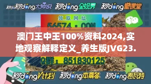 澳门王中王100%资料2024,实地观察解释定义_养生版JVG23.246