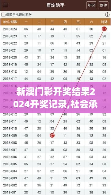 新澳门彩开奖结果2024开奖记录,社会承担实践战略_参与版CYW37.467