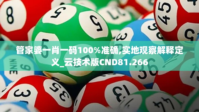 管家婆一肖一码100%准确,实地观察解释定义_云技术版CND81.266