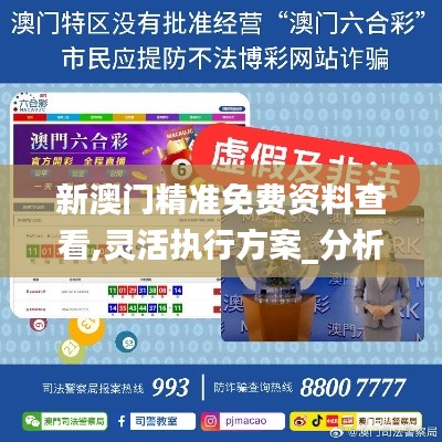 新澳门精准免费资料查看,灵活执行方案_分析版LQN72.659