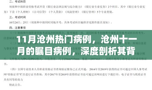 沧州十一月瞩目病例深度解析，背景、进展与影响探究