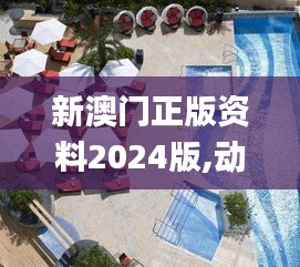 新澳门正版资料2024版,动态解读分析_原汁原味版CRK13.224