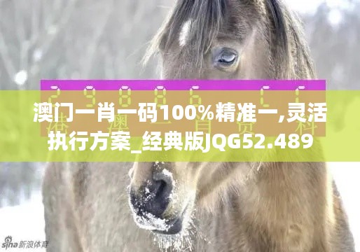 澳门一肖一码100%精准一,灵活执行方案_经典版JQG52.489