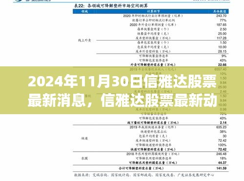 信雅达股票最新动态，与自然美景的邂逅，启程寻找宁静之舟之旅（2024年11月30日）