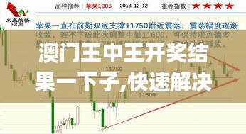 澳门王中王开奖结果一下子,快速解决方式指南_零障碍版YEJ23.348