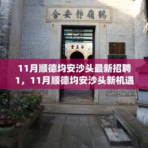 11月顺德均安沙头最新招聘启航，职场新征程，学习变革与自信成长的机会