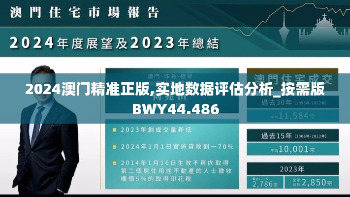 2024澳门精准正版,实地数据评估分析_按需版BWY44.486